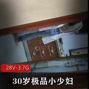 30岁极品小少妇清纯少妇致命YH+[28V-3.7G]