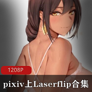 pixiv上超高人气重口戏码画师（Laserflip）与（Metal+Owl）的合集