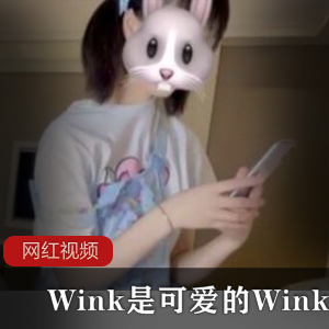 可爱学妹的Wink作品