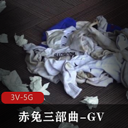 赤兔三部曲GV3V5G作者自拍时长41分年轻小伙手术爆J花C特写用嘴四人游爆C喷N